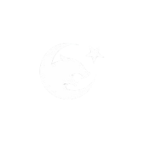 Parslar Logo